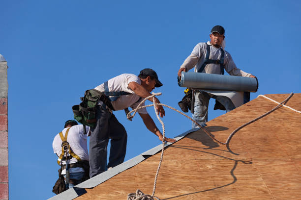 Best Metal Roofing Contractor  in Doffing, TX