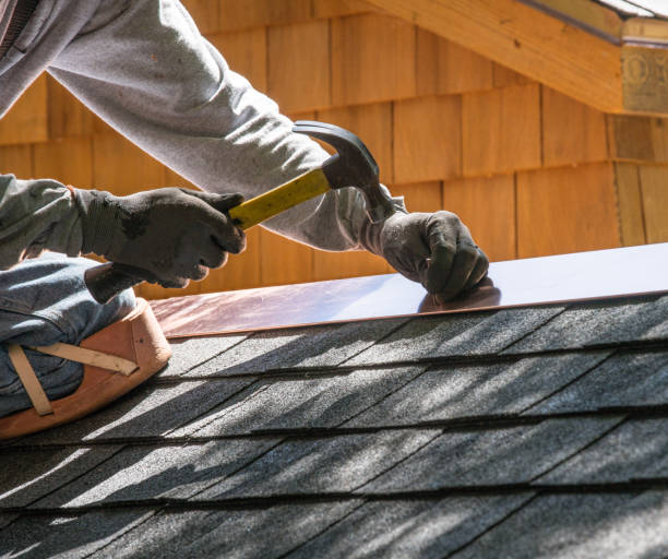 Best Roof Gutter Cleaning  in Doffing, TX